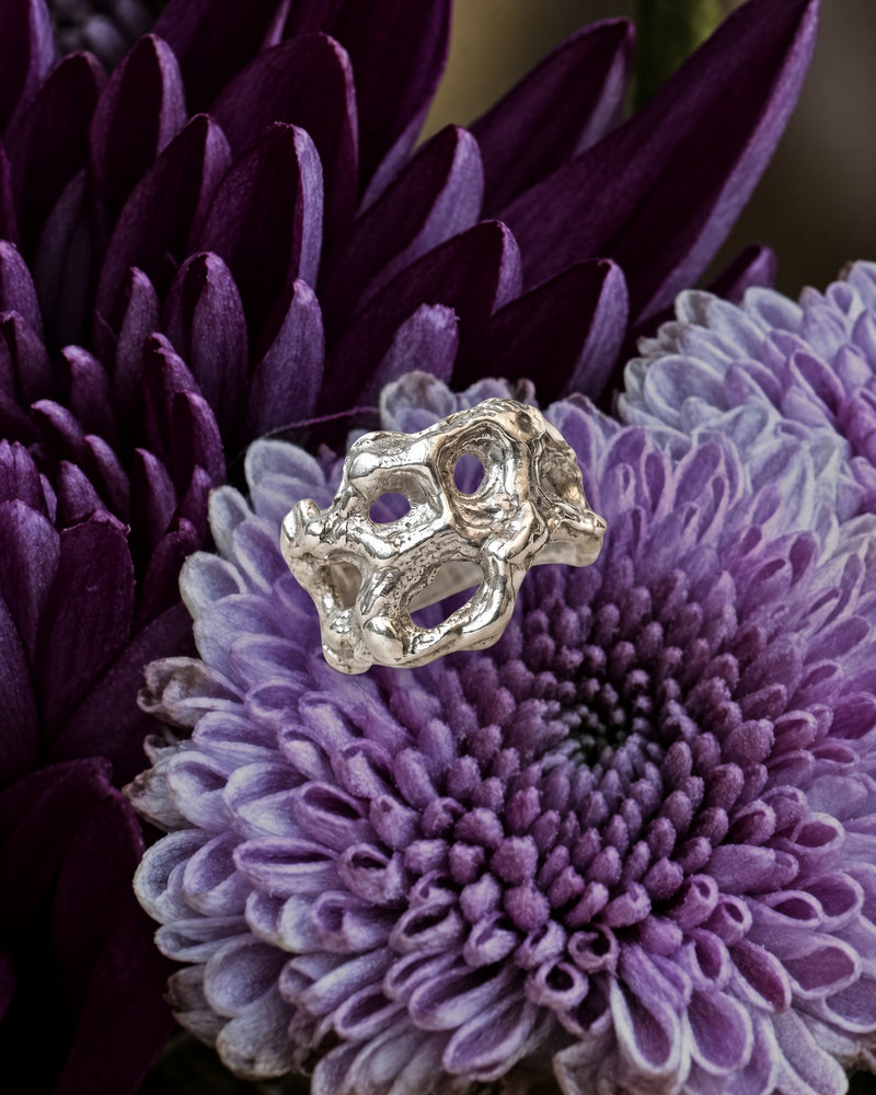 Anillo Colonia