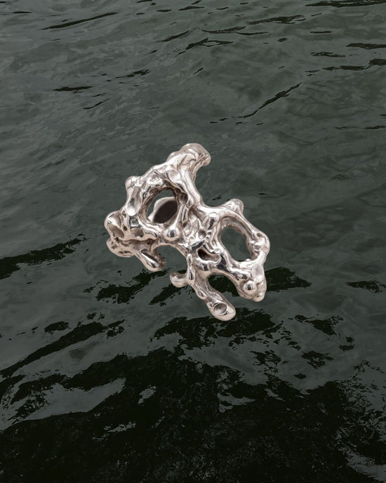 Anillo Arrecife