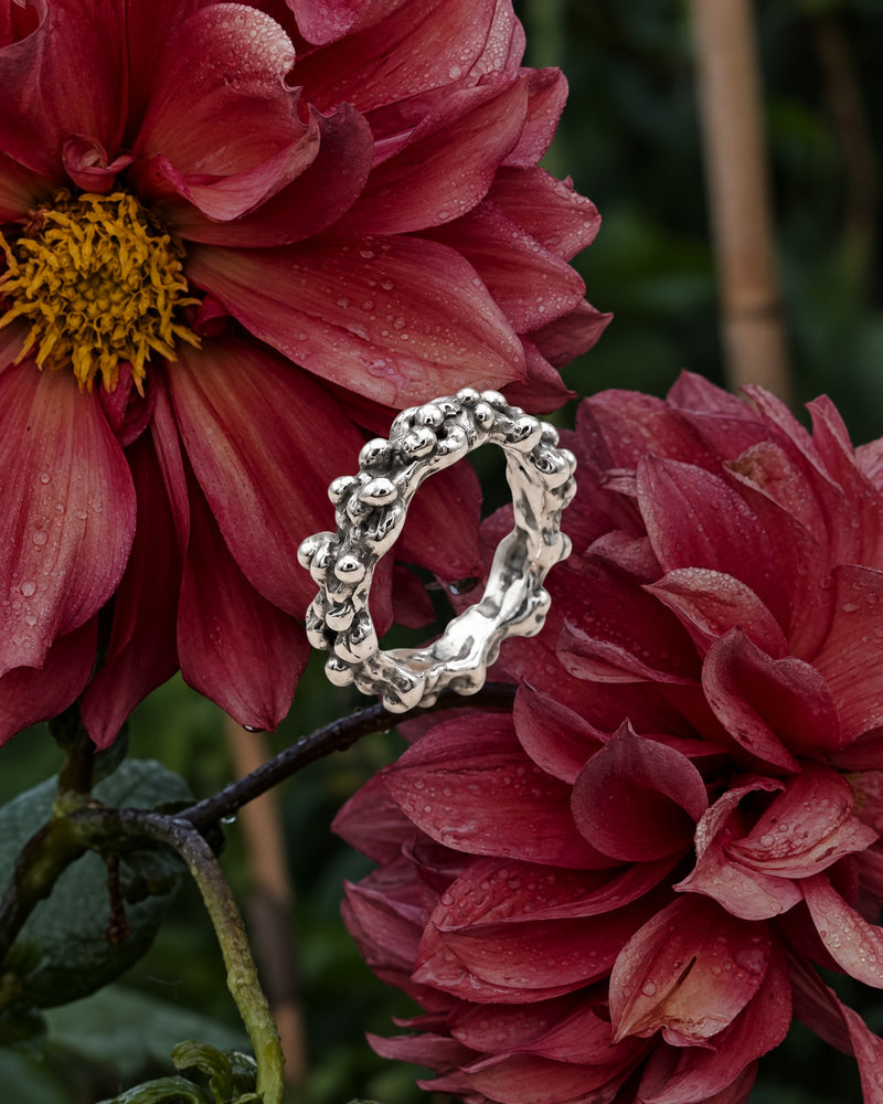 Anillo Coral