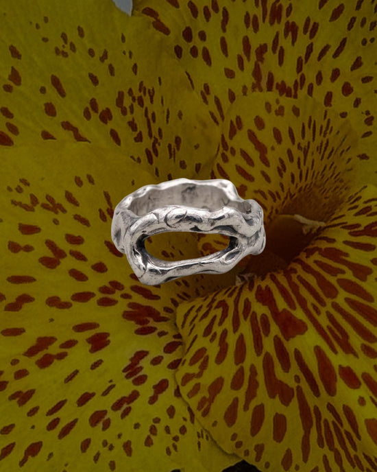 Anillo Geoda