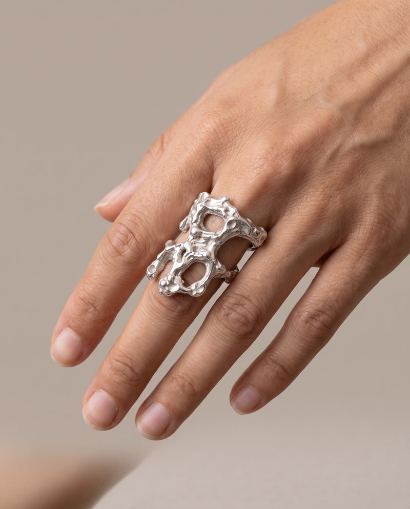 Anillo Arrecife