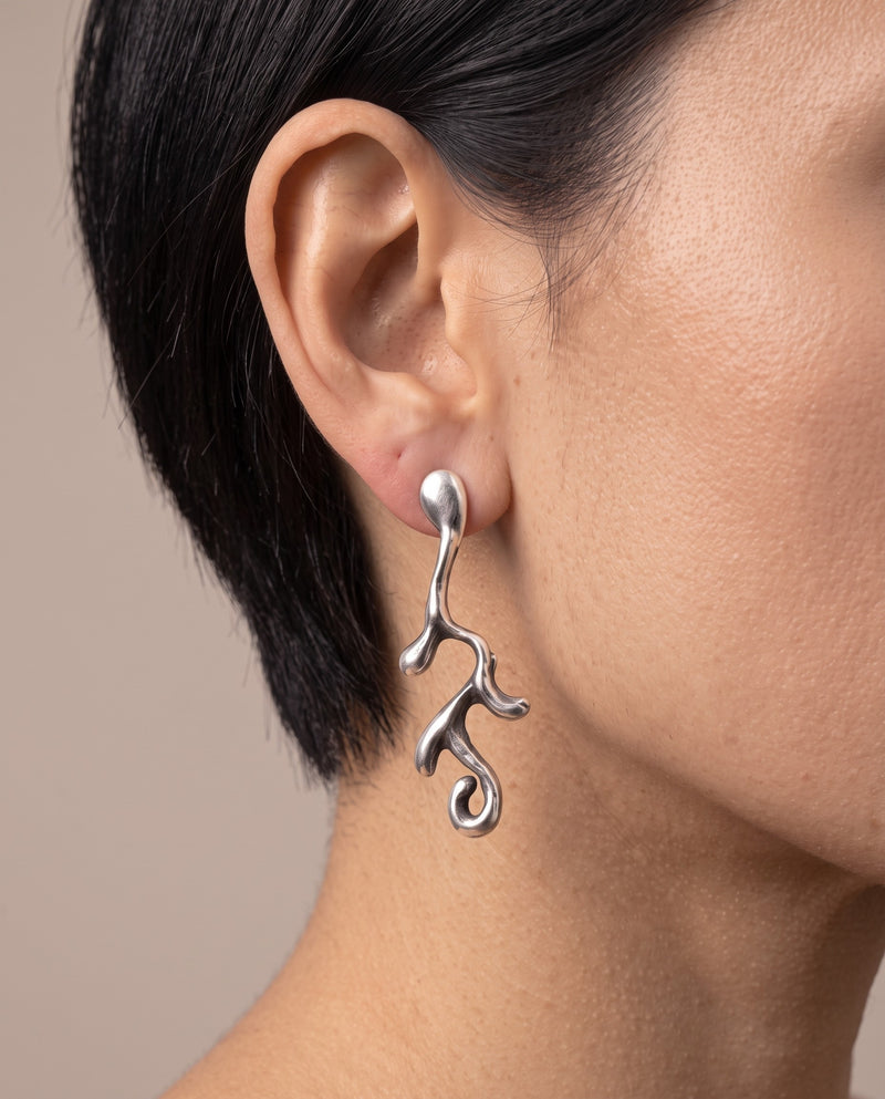 Aretes Alga