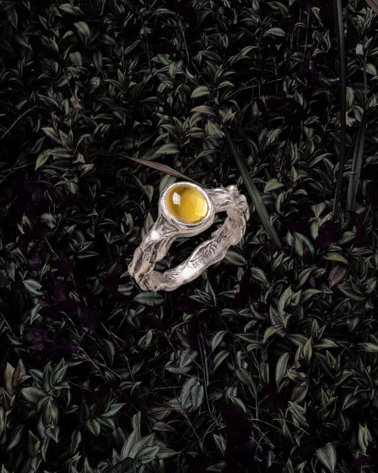 Anillo Lobelia