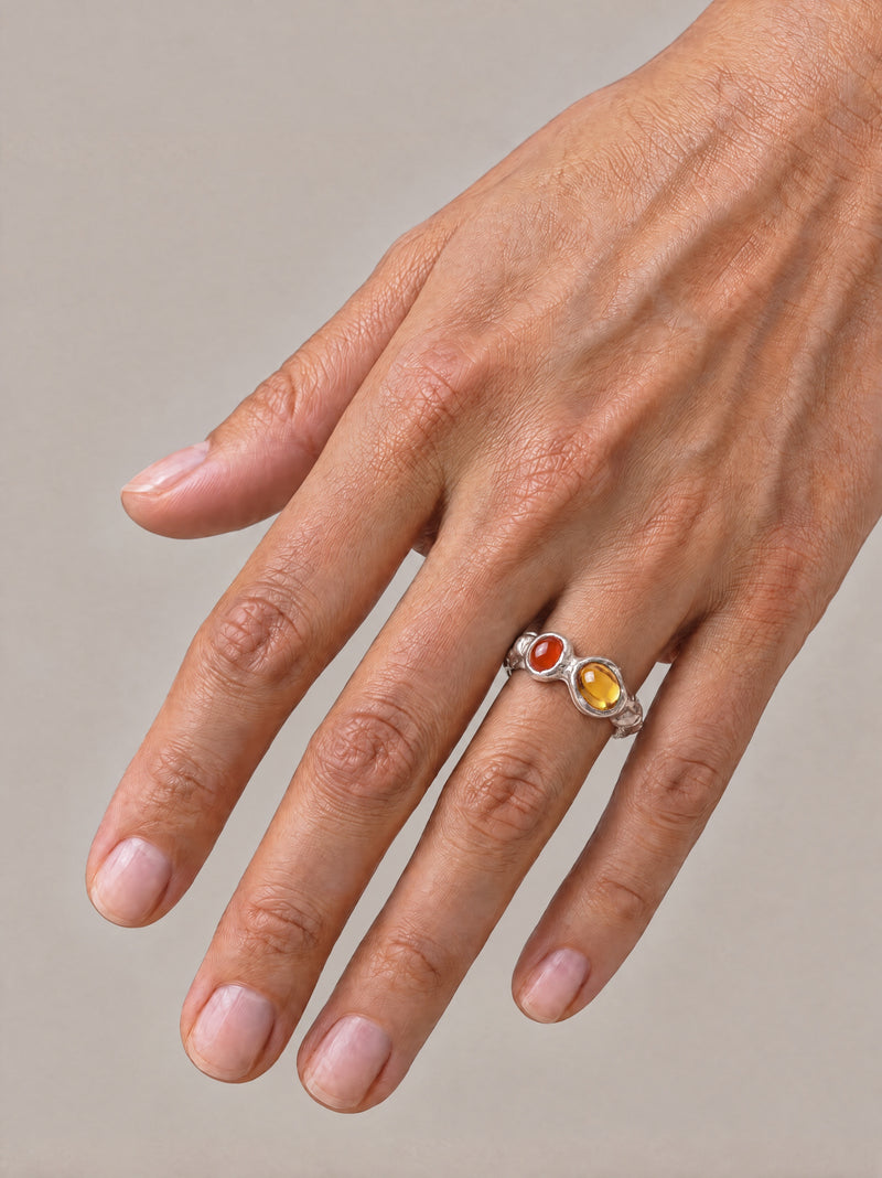 Anillo Mitosis puesto